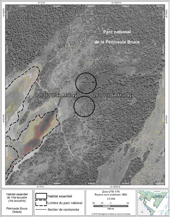 Figure 11. Carte à petite échelle des parcelles d'habitat essentiel nos 11 et 12 de l'iris lacustre au nord de la péninsule Bruce.