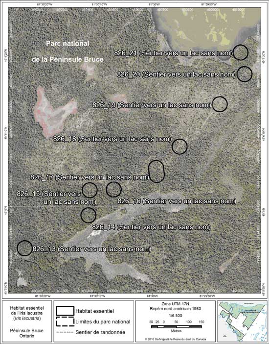 Figure 12. Carte à petite échelle des parcelles d'habitat essentiel nos 13 à 21 de l'iris lacustre au nord de la péninsule Bruce.