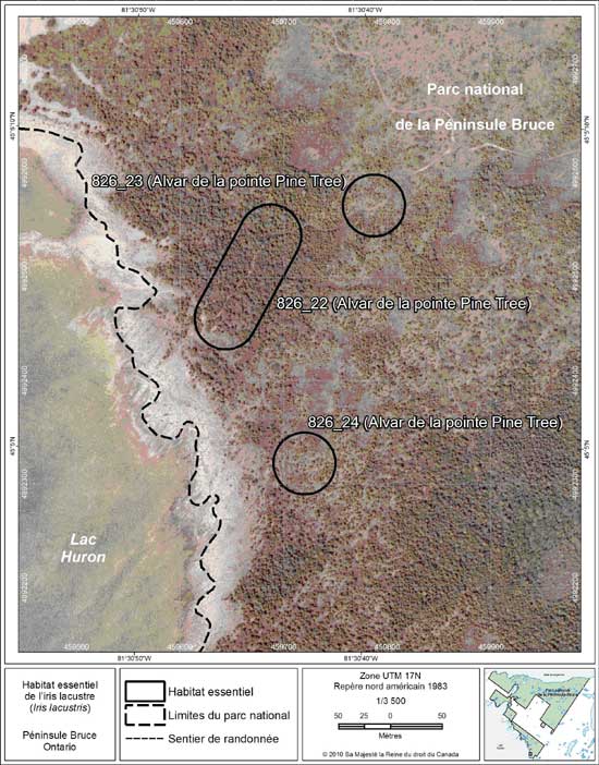 Figure 13. Carte à petite échelle des parcelles d'habitat essentiel nos 22 à 24 de l'iris lacustre au nord de la péninsule Bruce.