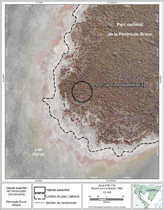 Figure 14. Carte à petite échelle de la parcelle d'habitat essentiel no 25 de l'iris lacustre au nord de la péninsule Bruce.