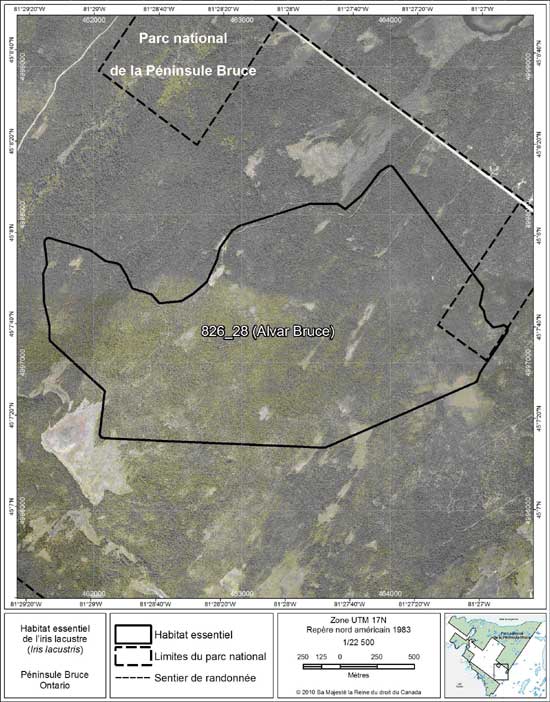 Figure 17. Carte à petite échelle de la parcelle d'habitat essentiel no 28 de l'iris lacustre au nord de la péninsule Bruce.