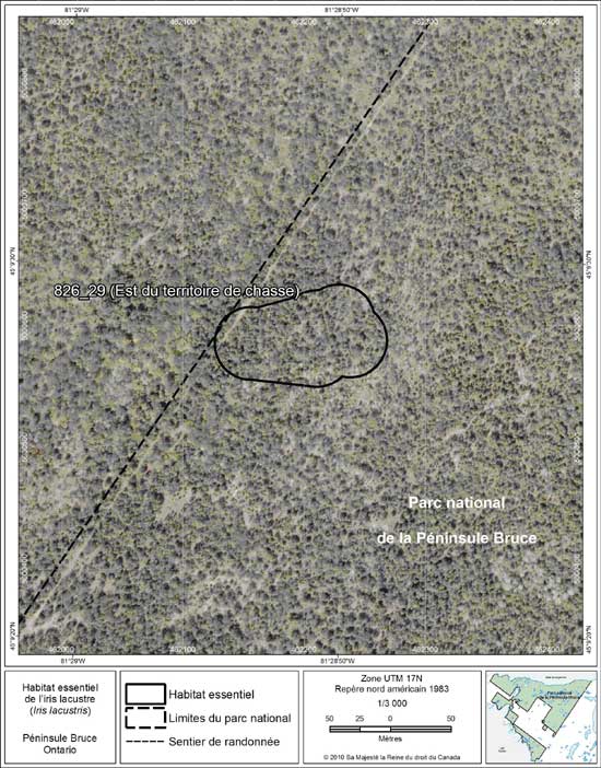 Figure 18. Carte à petite échelle de la parcelle d'habitat essentiel no 29 de l'iris lacustre au nord de la péninsule Bruce.