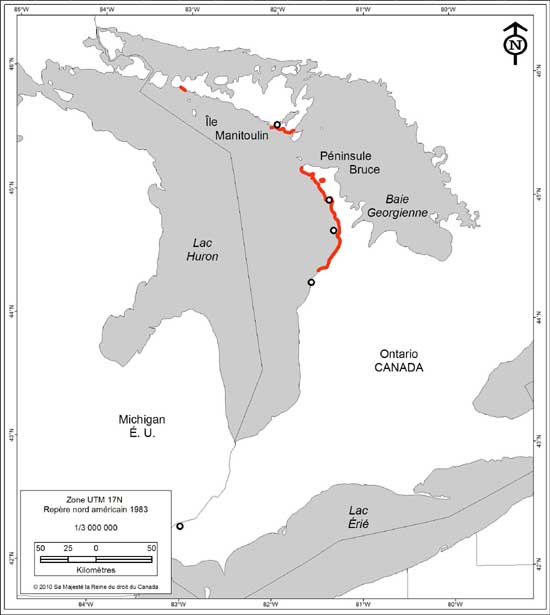 Figure 3. Répartition actuelle de l'iris lacustre en Ontario. Les lignes rouges indiquent la répartition de populations actuelles et les cercles ouverts, les populations historiques.