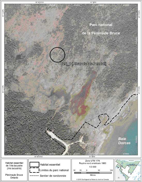 Figure 5. Carte à petite échelle de la parcelle d'habitat essentiel no 1 de l'iris lacustre au nord de la péninsule Bruce.