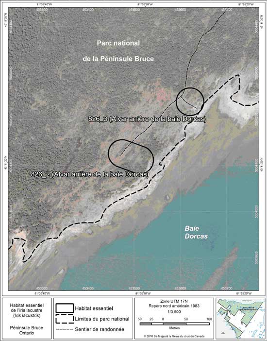Figure 6. Carte à petite échelle des parcelles d'habitat essentiel nos 2 et 3 de l'iris lacustre au nord de la péninsule Bruce.