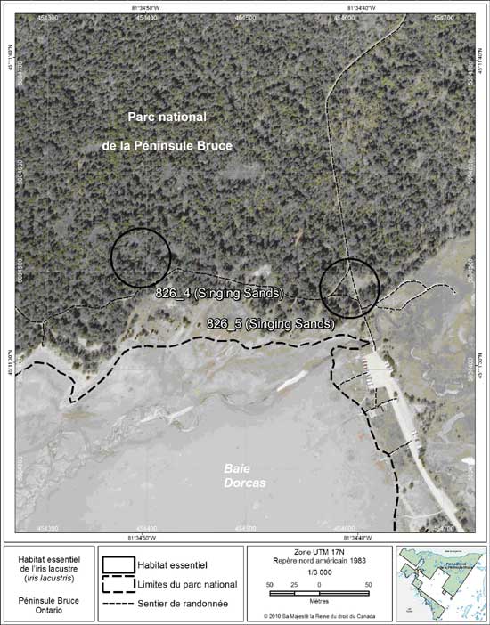 Figure 7. Carte à petite échelle des parcelles d'habitat essentiel nos 4 et 5 de l'iris lacustre au nord de la péninsule Bruce.