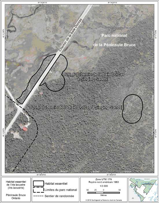 Figure 8. Carte à petite échelle des parcelles d'habitat essentiel nos 6 et 7 de l'iris lacustre au nord de la péninsule Bruce.