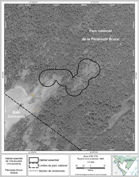 Figure 9. Carte à petite échelle de la parcelle d'habitat essentiel no 8 de l'iris lacustre au nord de la péninsule Bruce.