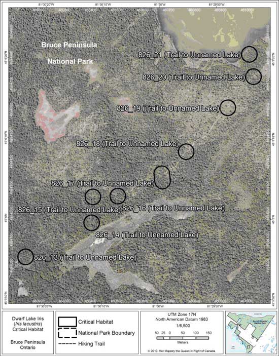 Figure 12. Fine-scale map of Dwarf Lake Iris critical habitat parcels 13-21 on the northern Bruce Peninsula.