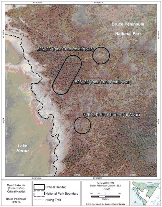 Figure 13. Fine-scale map of Dwarf Lake Iris critical habitat parcels 22-24 on the northern Bruce Peninsula.