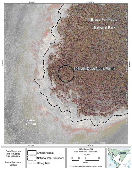 Figure 14. Fine-scale map of Dwarf Lake Iris critical habitat parcel 25 on the northern Bruce Peninsula.