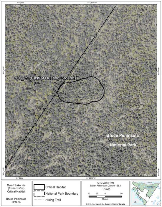 Figure 18. Fine-scale map of Dwarf Lake Iris critical habitat parcel 29 on the northern Bruce Peninsula.