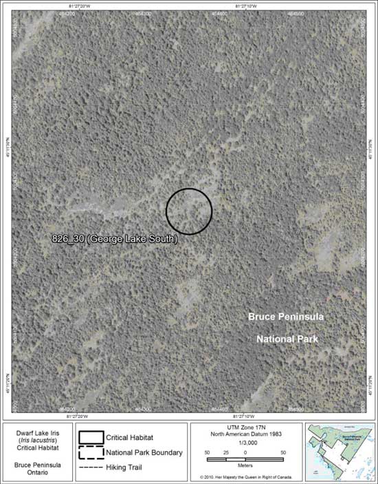 Figure 19. Fine-scale map of Dwarf Lake Iris critical habitat parcel 30 on the northern Bruce Peninsula.