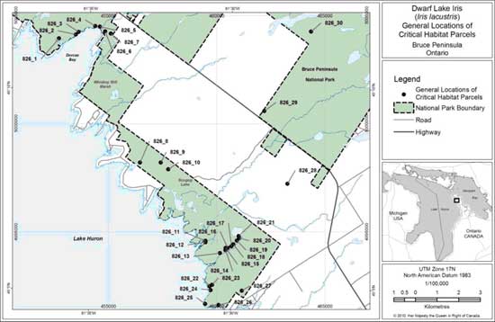 Figure 4. General locations of critical habitat parcels in northern Bruce Peninsula. Dotted line represents Bruce Peninsula National Park Boundary.