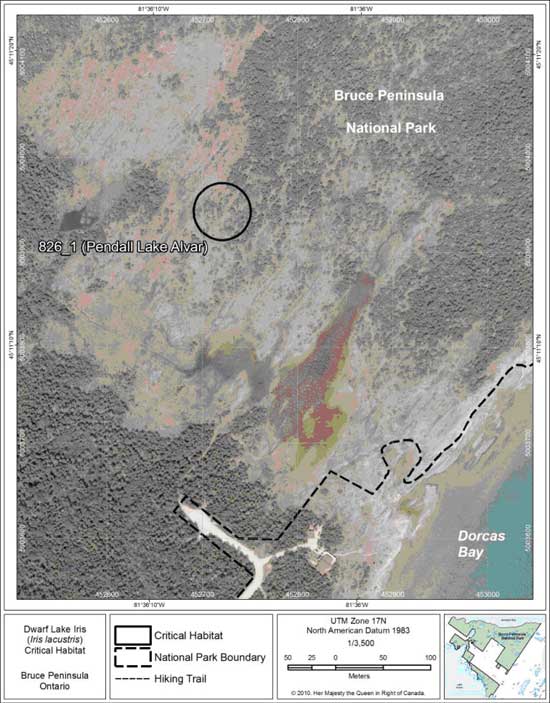 Figure 5. Fine-scale map of Dwarf Lake Iris critical habitat parcel 1 on the northern Bruce Peninsula.