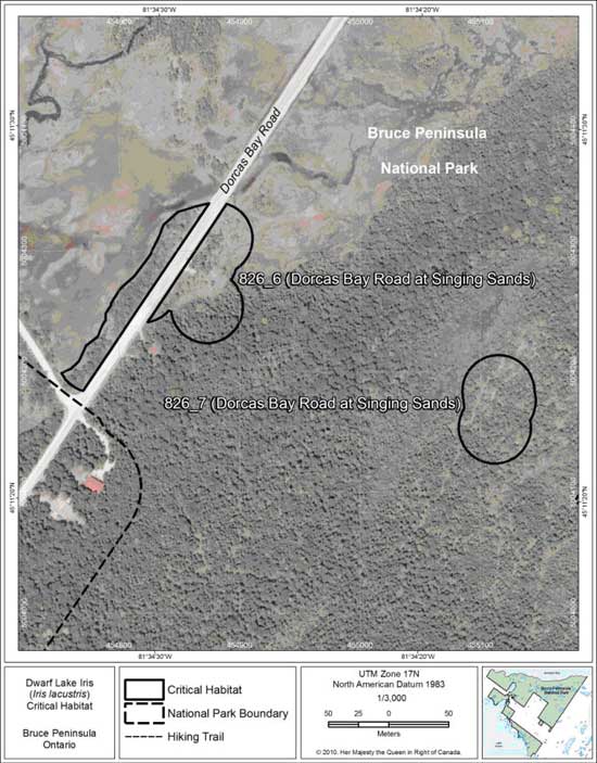 Figure 8. Fine-scale map of Dwarf Lake Iris critical habitat parcels 6 and 7 on the northern Bruce Peninsula.
