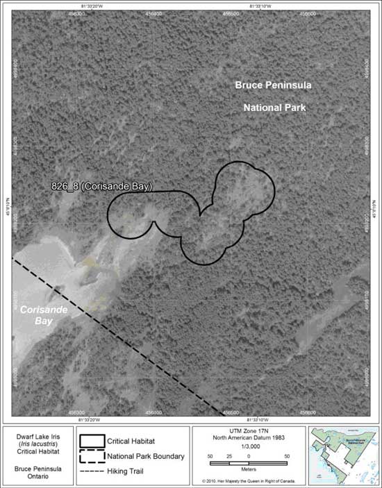 Figure 9. Fine-scale map of Dwarf Lake Iris critical habitat parcel 8 on the northern Bruce Peninsula.