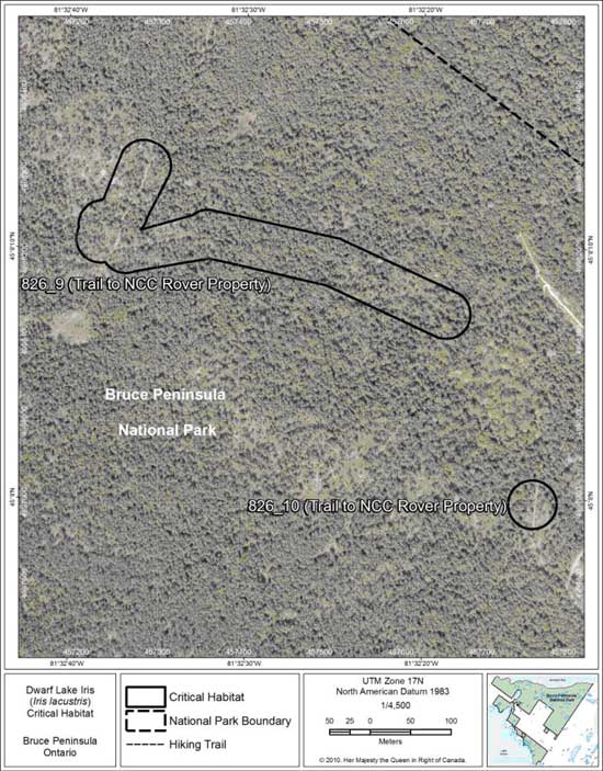 Figure 10. Fine-scale map of Dwarf Lake Iris critical habitat parcels 9 and 10 on the northern Bruce Peninsula.