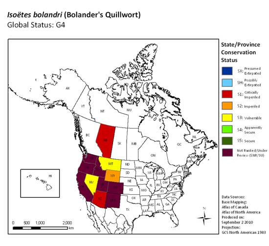 Figure 1. Sub-national status' of Bolander's Quillwort in North America (data provided by NatureServe).