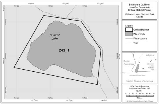 Figure 4. Area within which critical habitat parcel # 243_1 for Bolander's Quillwort is found at Summit Lake, Waterton Lakes National Park. Please refer to Section 2.3 for the description of biophysical attributes to help locate the critical habitat within this area.