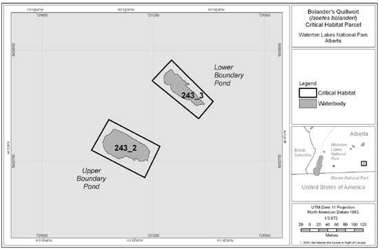 Figure 5. Area within which critical habitat parcels # 243_2 and 243_3 for Bolander's Quillwort are found at the Upper and Lower Boundary Creek Ponds, Waterton Lakes National Park, respectively. Please refer Section 2.3 for the description of biophysical attributes to help locate the critical habitat within this area.