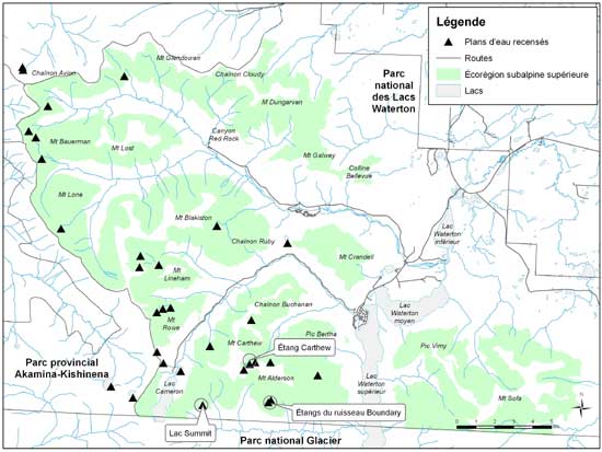 Figure 3. Emplacement historique (étang Carthew) et emplacements actuels (lac Summit et étangs du ruisseau Boundary) des populations d'isoète de Bolander (cercles) dans les limites du parc national des Lacs Waterton, en comparaison des travaux de recensement (triangles) (adapté de Smith et Bradley, 2008)