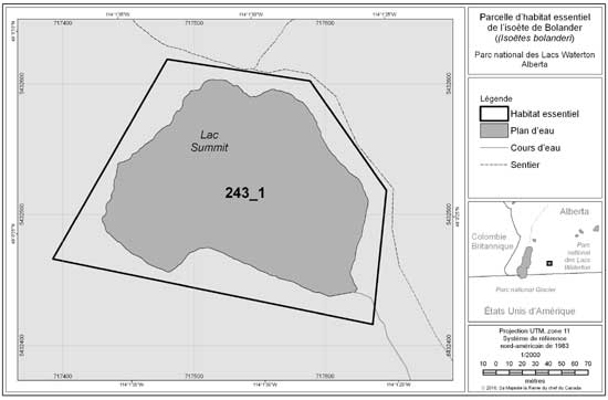 Figure 4. Secteur comprenant la parcelle d'habitat essentiel 243_1 de l'isoète de Bolander, au lac Summit, parc national des Lacs Waterton. Se reporter à la section 2.3 pour la description des caractéristiques biophysiques qui aident à délimiter l'habitat essentiel dans ce secteur.