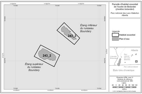 Figure 5. Secteur comprenant les parcelles d'habitat essentiel 243_2 et 243_3 de l'isoète de Bolander, à l'étang inférieur et à l'étang supérieur du ruisseau Boundary, respectivement, parc national des Lacs Waterton, respectivement. Se reporter à la section 2.3 pour la description des caractéristiques biophysiques qui aident à délimiter l'habitat essentiel dans ce secteur.