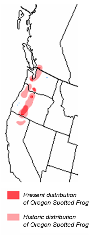 Figure 2. Present and historical distribution of the Oregon Spotted Frog in North America (adapted from Hayes et al. 1997).