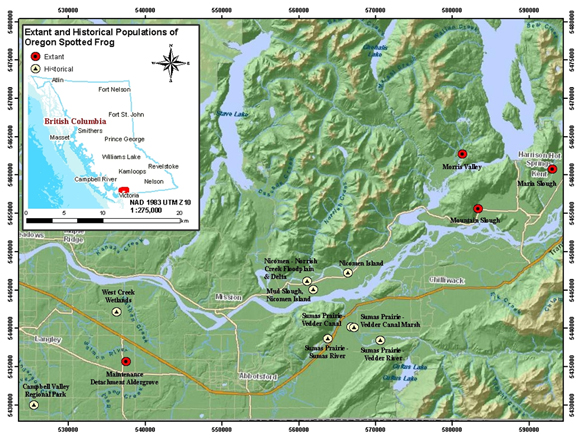 Figure 3. Map illustrating location of four extant populations and four historical populations of Oregon spotted frog. Map credit: Kristina Robbins. (See long description below)