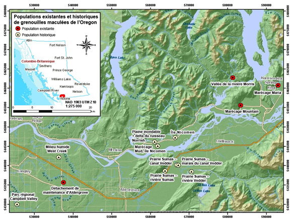 Figure 3. Carte illustrant l’emplacement des quatre populations existantes et des quatre populations historiques de grenouilles maculées de l’Oregon. Carte : Kristina Robbins. (Voir description longue ci-dessous.)