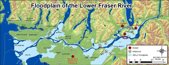 Figure 6. Map illustrating the floodplain area of the lower Fraser River (light blue area).
