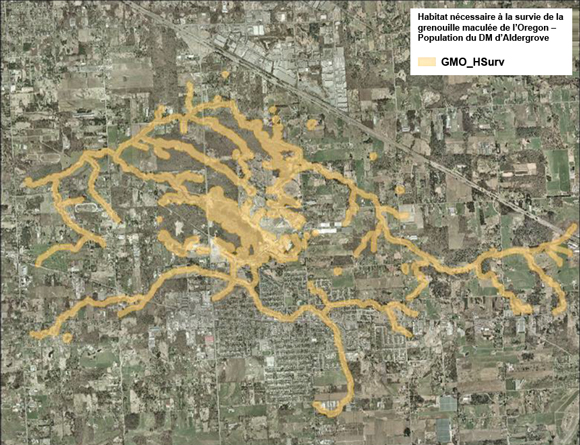 Figure A4. Zone d’habitat nécessaire à la survie (ombré en jaune) de la grenouille maculée de l’Oregon au milieu humide du détachement de maintenance d’Aldergrove, en Colombie-Britannique