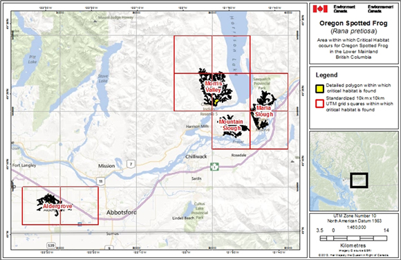 Figure A.1. is an overview map of the four areas within which critical habitat is found as well as their associated 10 km x 10km standardized UTM grid squares. (See long description below)
