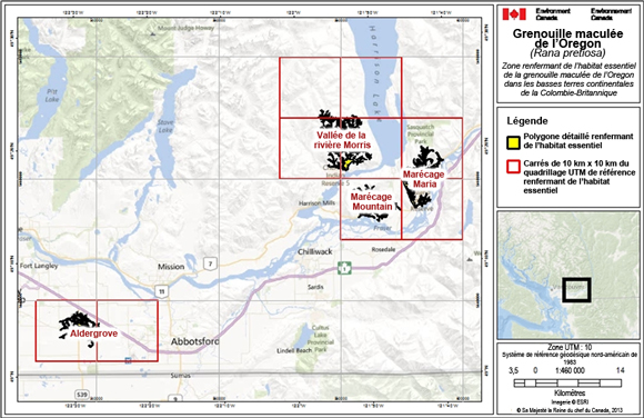 Figure A.1. L’habitat essentiel est désigné pour les quatre sites existants de la grenouille maculée de l’Oregon au Canada. (See long description below)