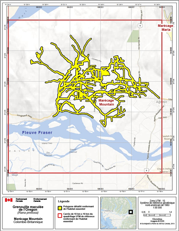 Figure A.2. L'habitat essentiel de la grenouille maculée de l’Oregon au marécage Mountain (à Agassiz, en Colombie-Britannique).  (See long description below)