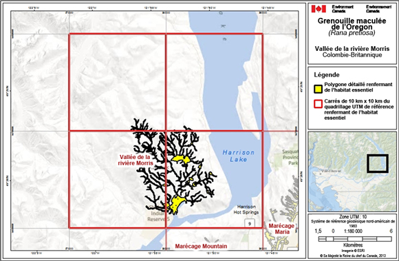 Figure A.4. L'habitat essentiel de la grenouille maculée de l’Oregon dans la vallée de la rivière Morris (circonscription électorale C du district régional de la vallée du Fraser, en Colombie-Britannique).  (See long description below)