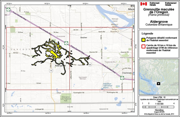 Figure A.5. L'habitat essentiel de la grenouille maculée de l’Oregon à Aldergrove (canton de Langley, en Colombie-Britannique).  (See long description below)