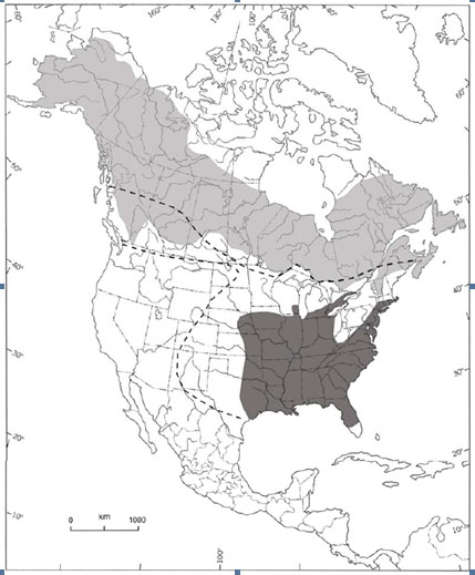 Carte d'Aire de répartition mondiale du Quiscale rouilleux (Voir description longue ci-dessous.)