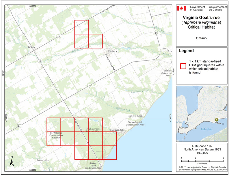 Grid squares that contain critical habitat for Virginia Goat's-rue