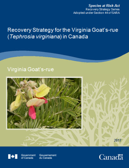 Recovery Strategy for Loggerhead Shrike