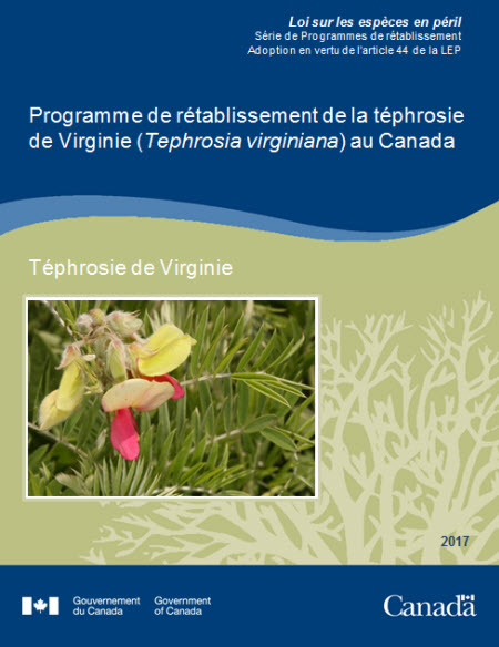 Programme  de rétablissement de la téphrosie de Virginie