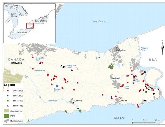 Figure 3 (b). Distribution of the Grass Pickerel in southeastern Ontario (Niagara Region), see Table 1 for details (See long description below)