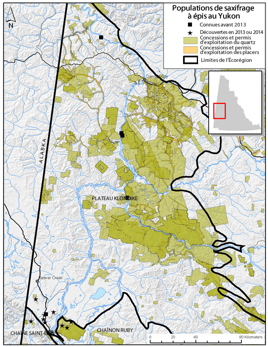 Carte: Yukon et Alaska.  Populations de saxifrage à épis au Yukon.