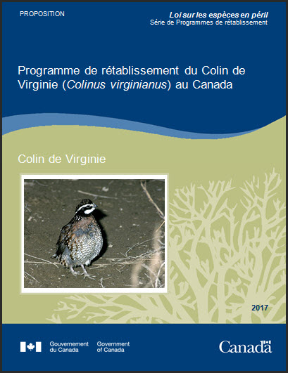 Programme de rétablissement du Colin de Virginie