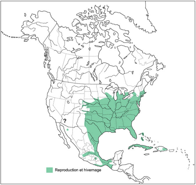 Répartition du Colin de Virginie en Amérique du Nord et dans l’ouest des  Caraïbes