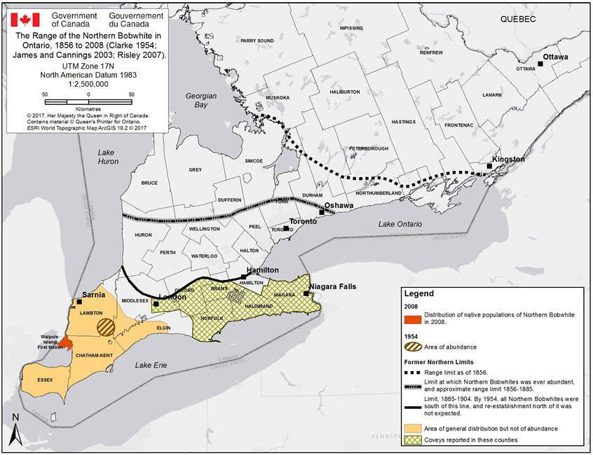 The range of the Northern Bobwhite in Ontario, 1856 to 2008