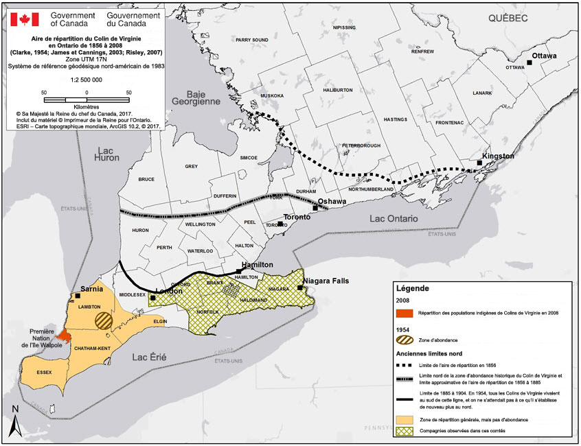 Répartition  du Colin de Virginie en Ontario de 1856 à 2008