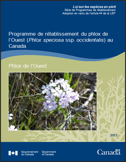 Programme de rétablissement du phlox de l'Ouest