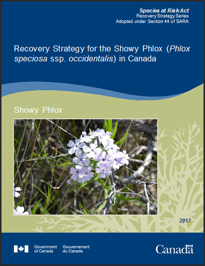 Recovery Strategy for the Showy Phlox